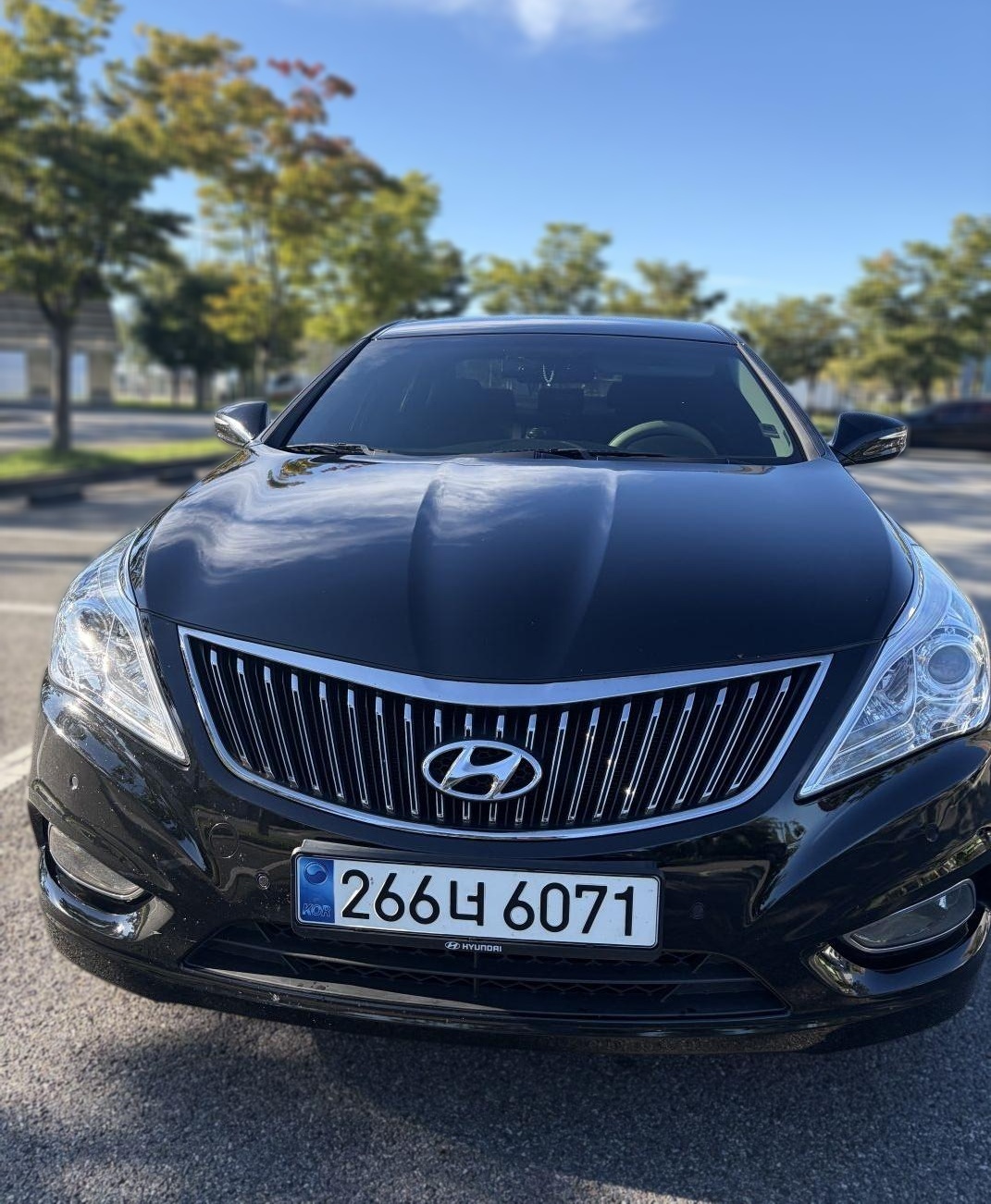 Hyundai Grandeur HG Hybrid