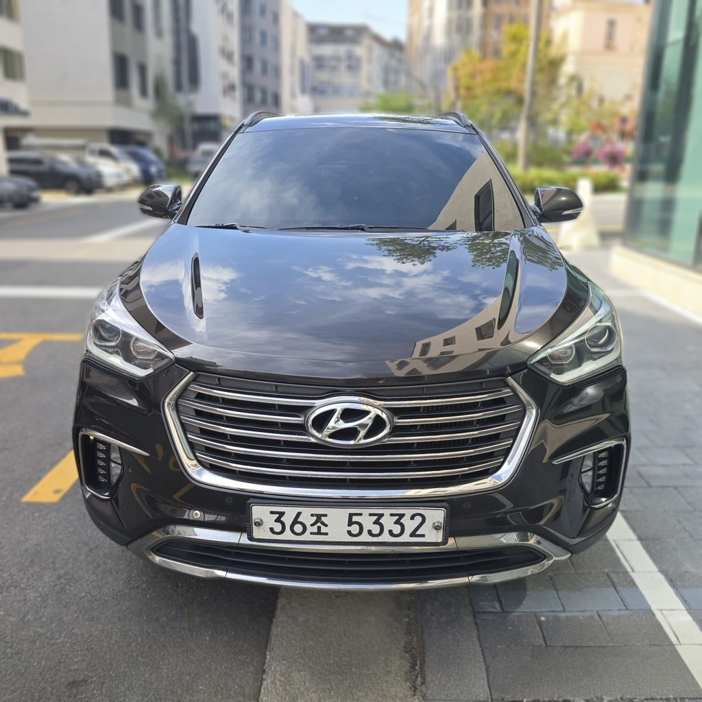 Hyundai The New Maxcruz