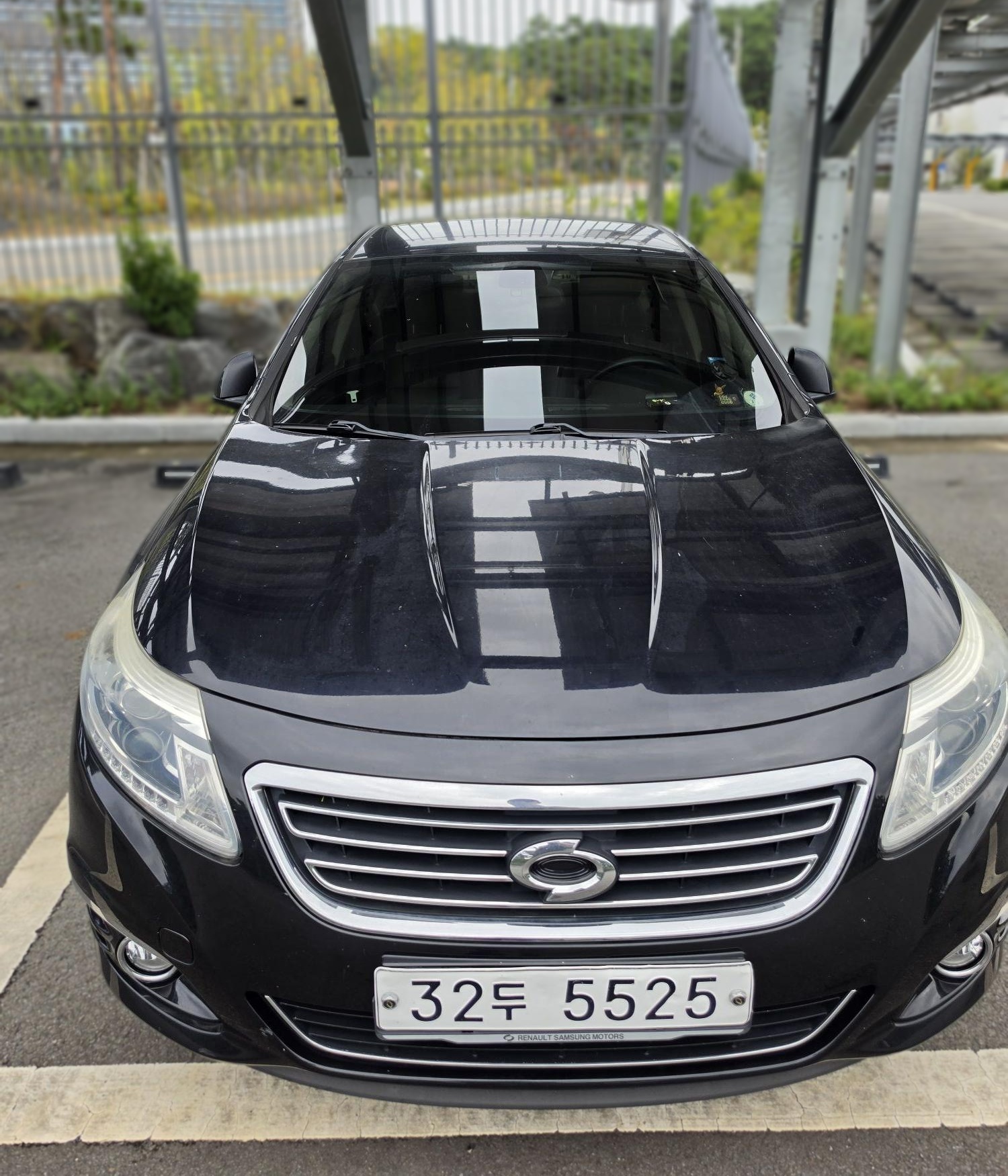 Renault Korea (Samsung) New SM5 Platinum