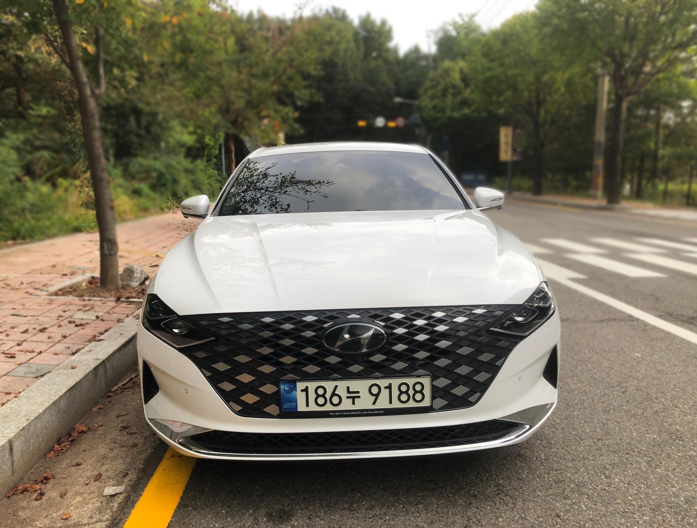Hyundai The New Grandeur IG