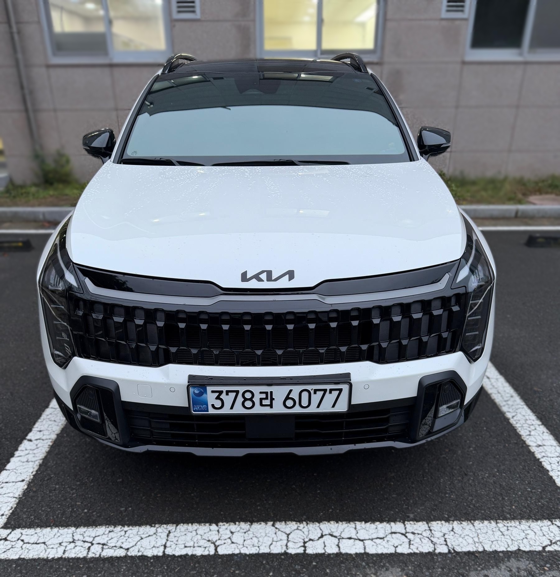 Kia The New Sportage 5th Gen (NQ5)