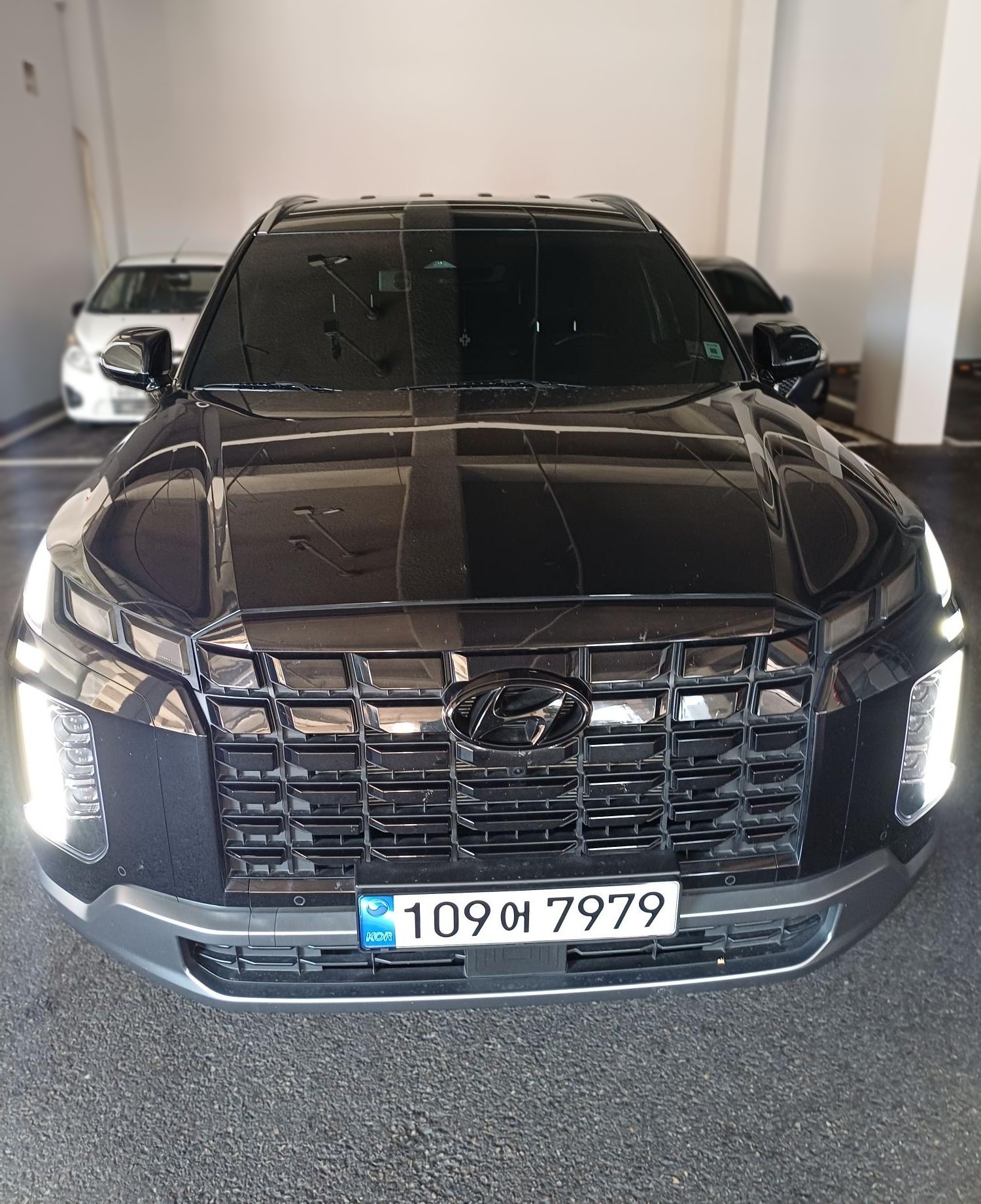 Hyundai The New Palisade
