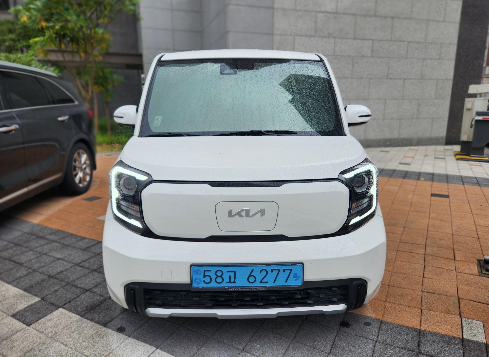 Kia The New Ray EV