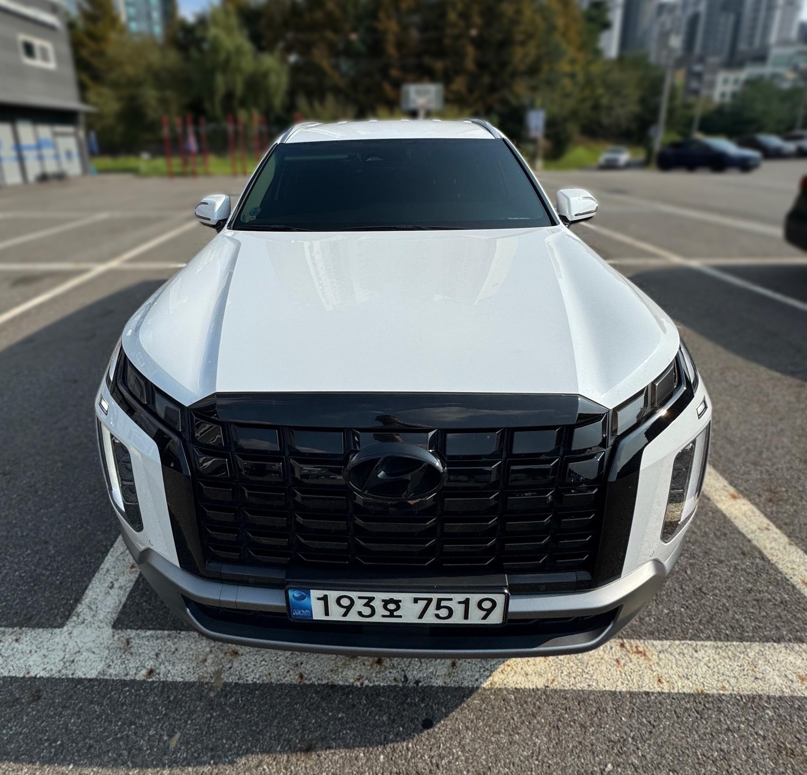 Hyundai The New Palisade