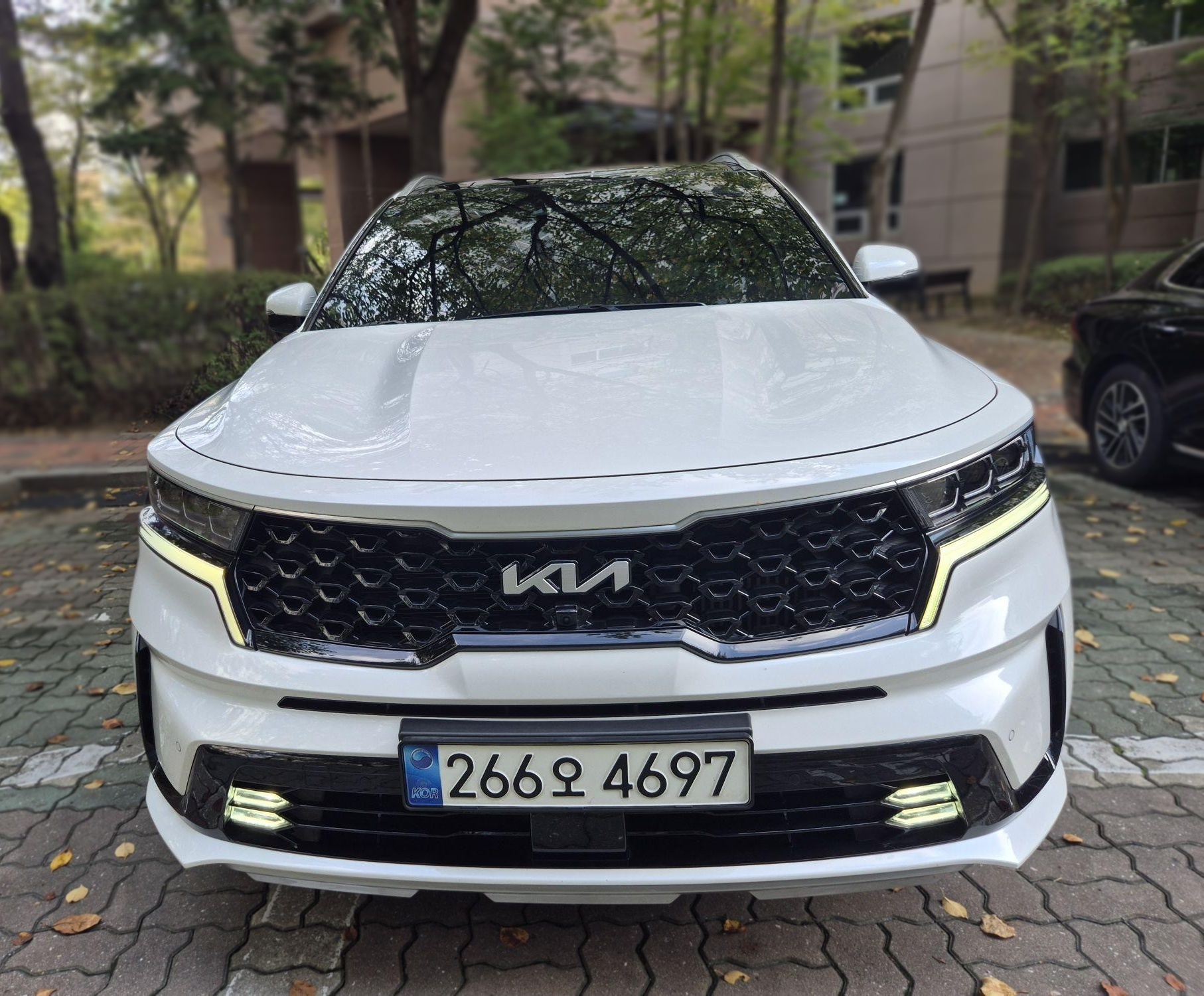 Kia Sorento 4th Gen (MQ4)