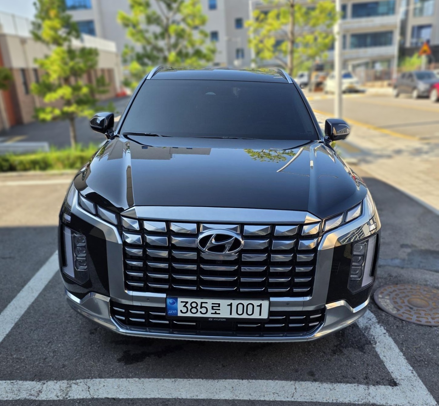 Hyundai The New Palisade
