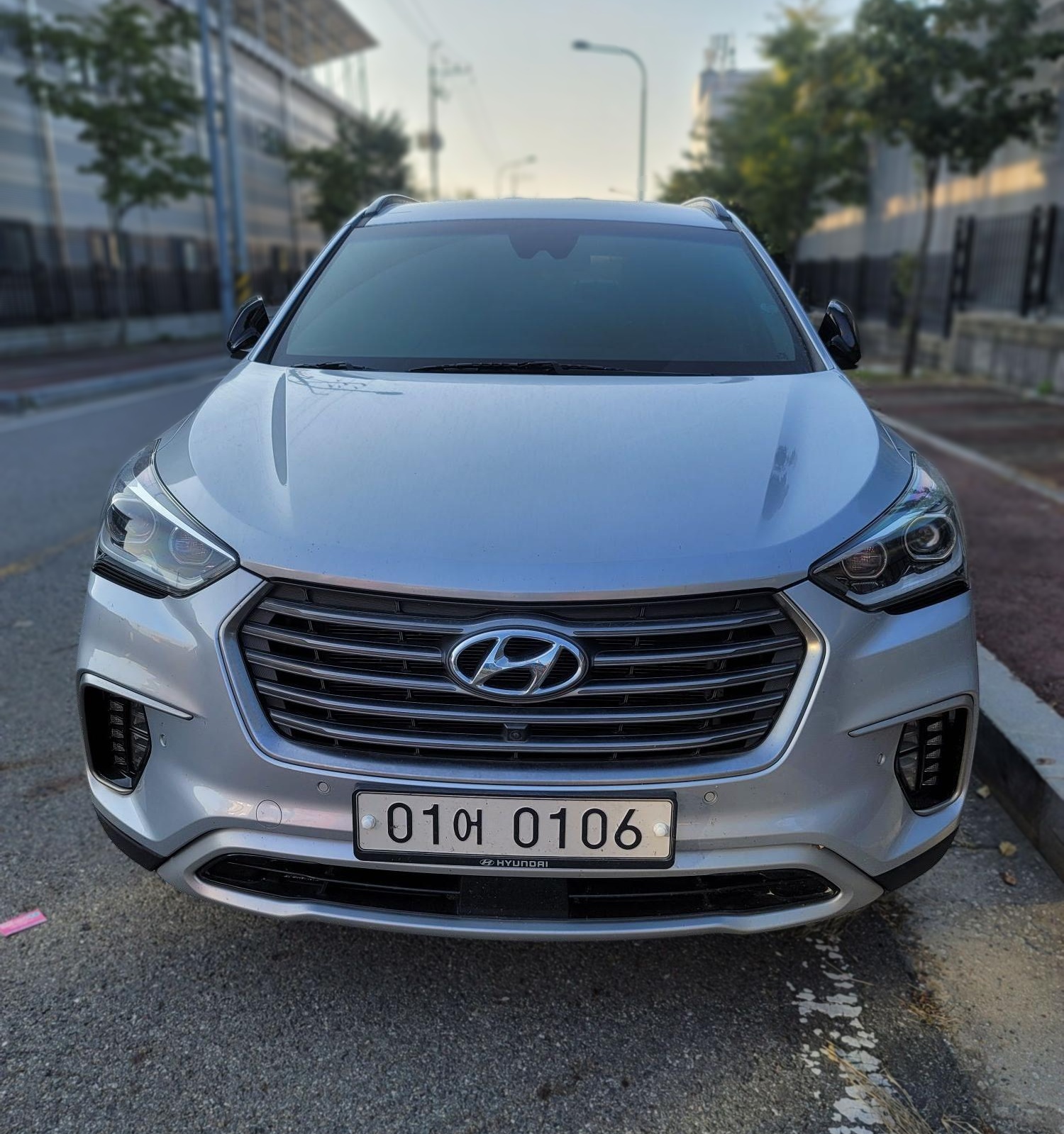 Hyundai The New Maxcruz