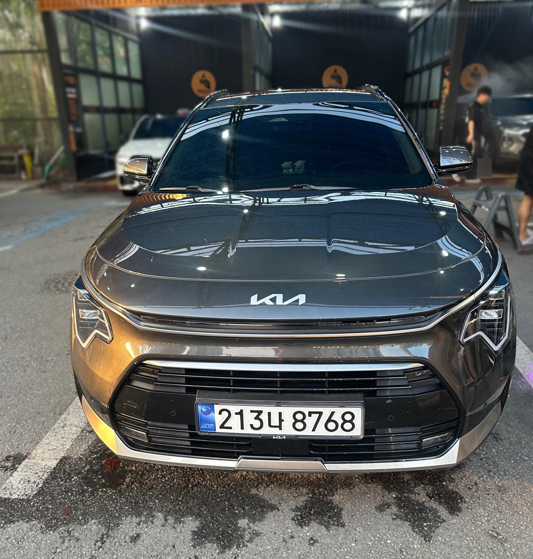 Kia The All-New Niro