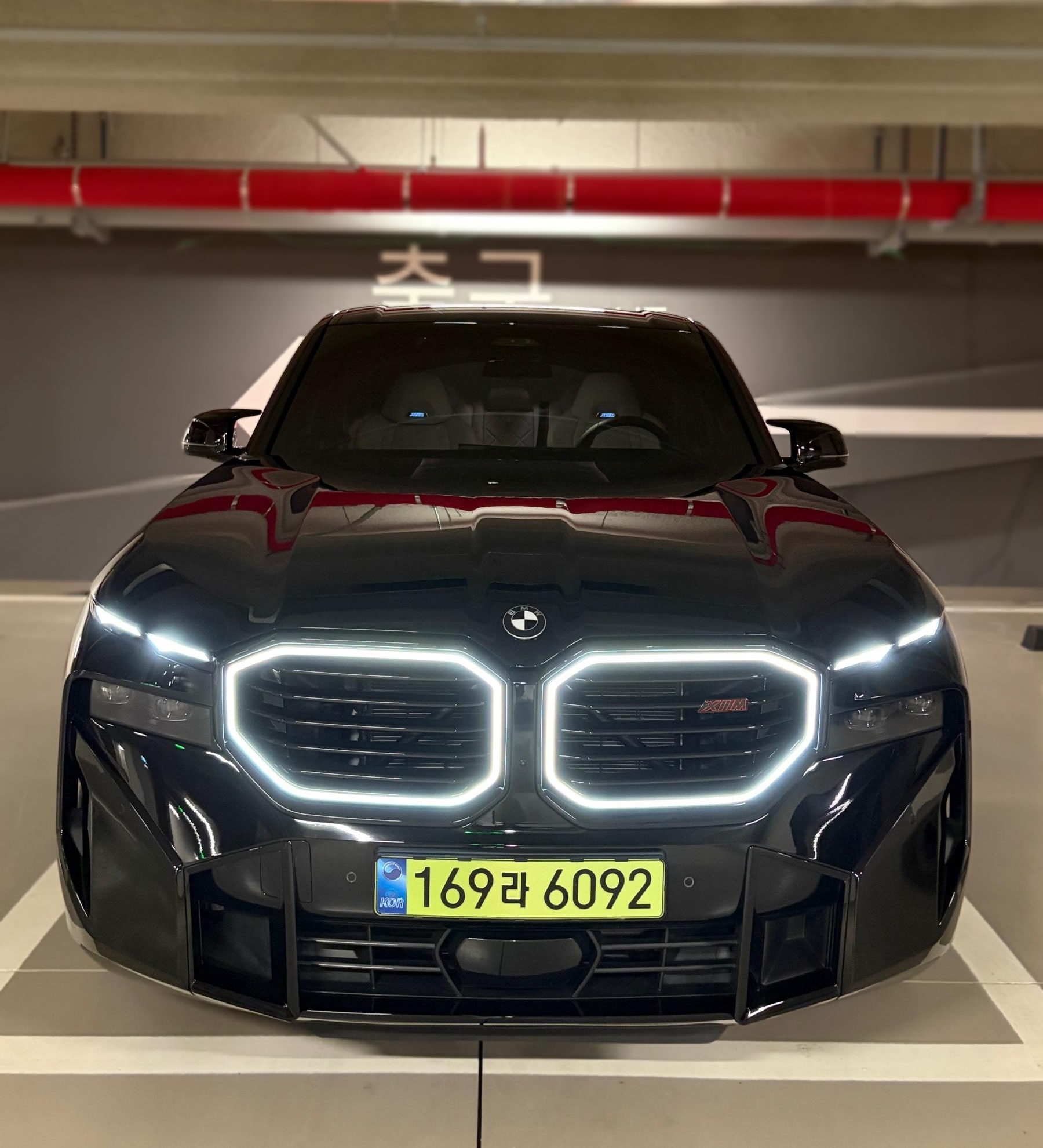 BMW XM (G09)