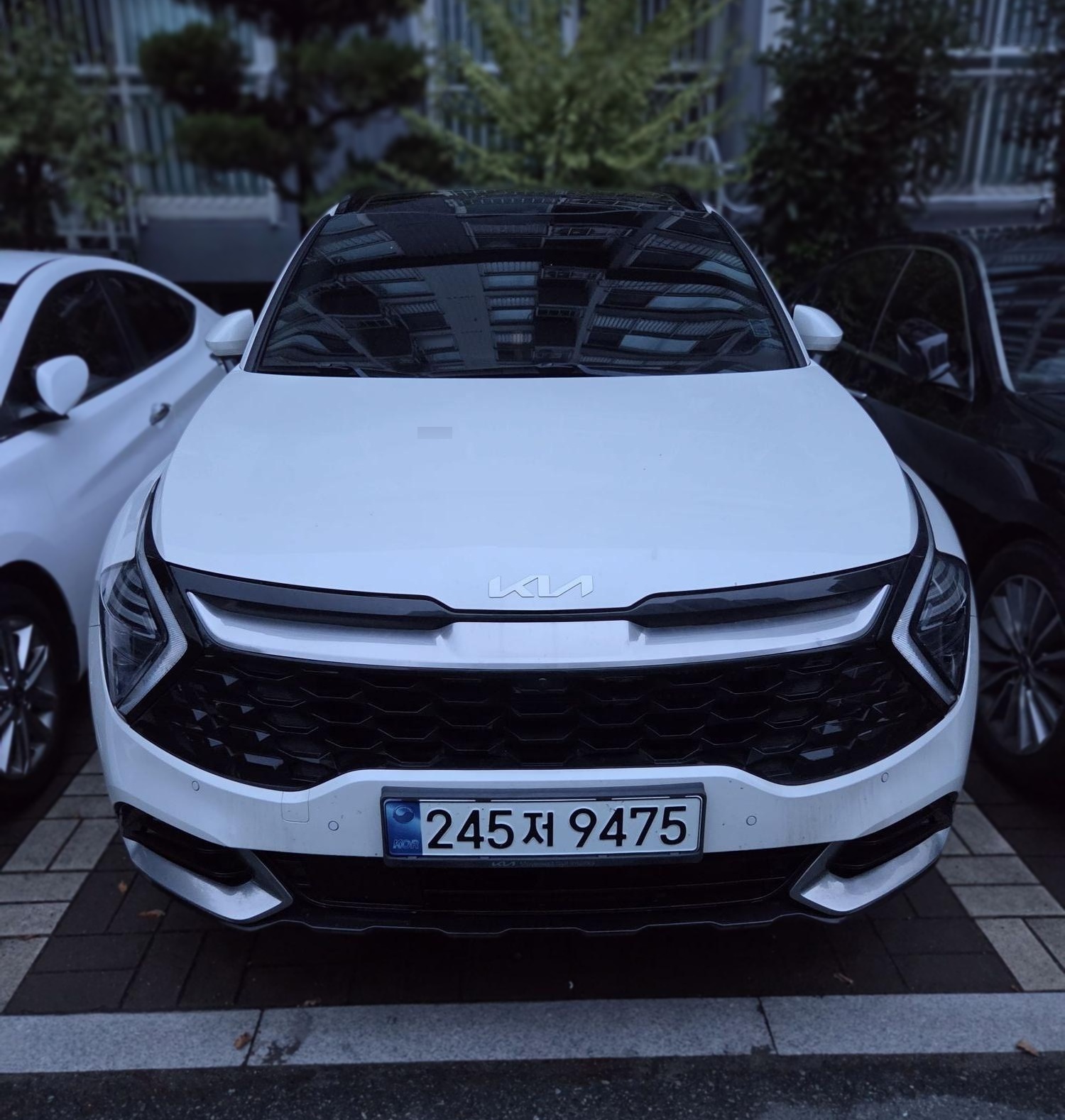 Kia The All-New Sportage Hybrid (NQ5)