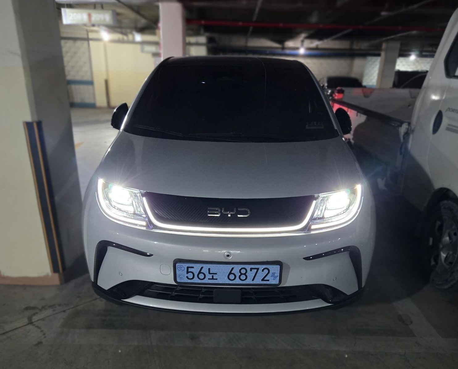 BYD Dolphin