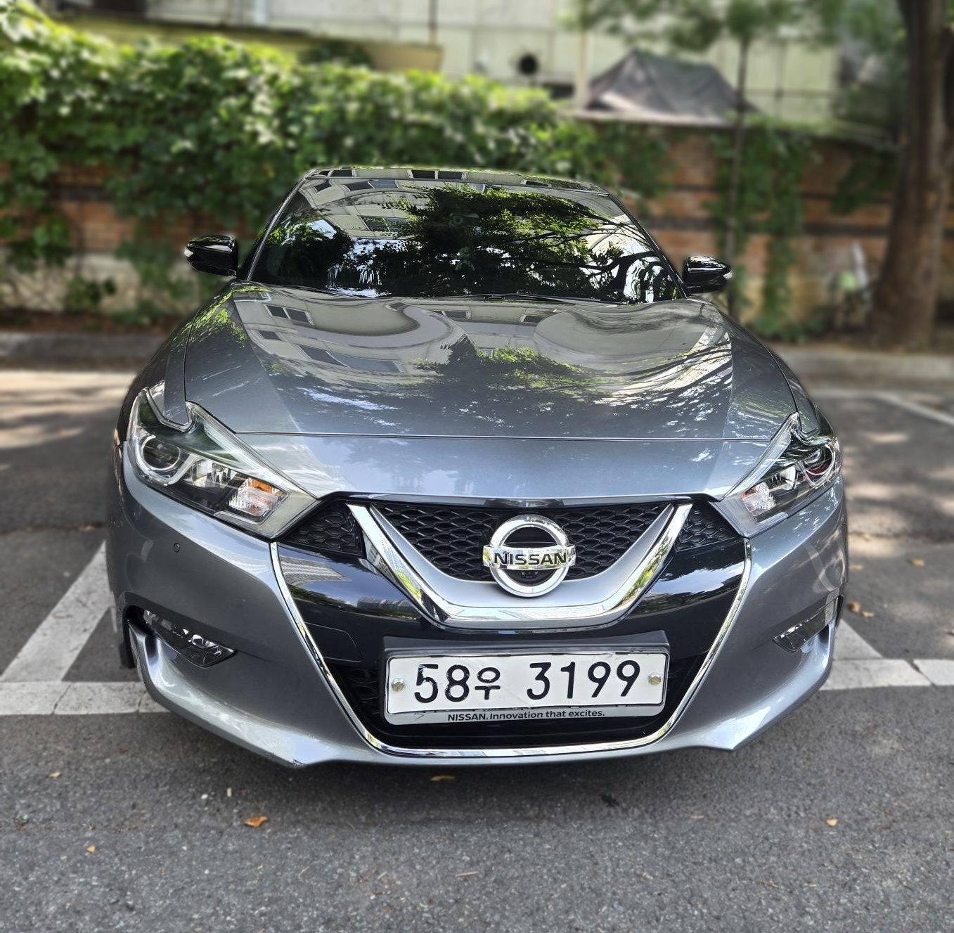 Nissan Maxima (A36)