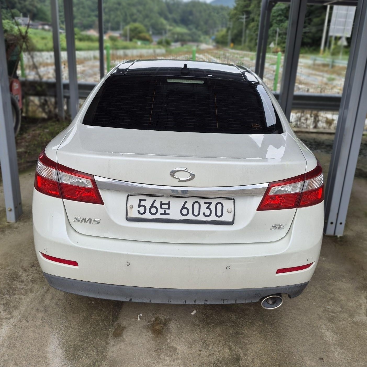 Renault Korea (Samsung) New SM5 (New)