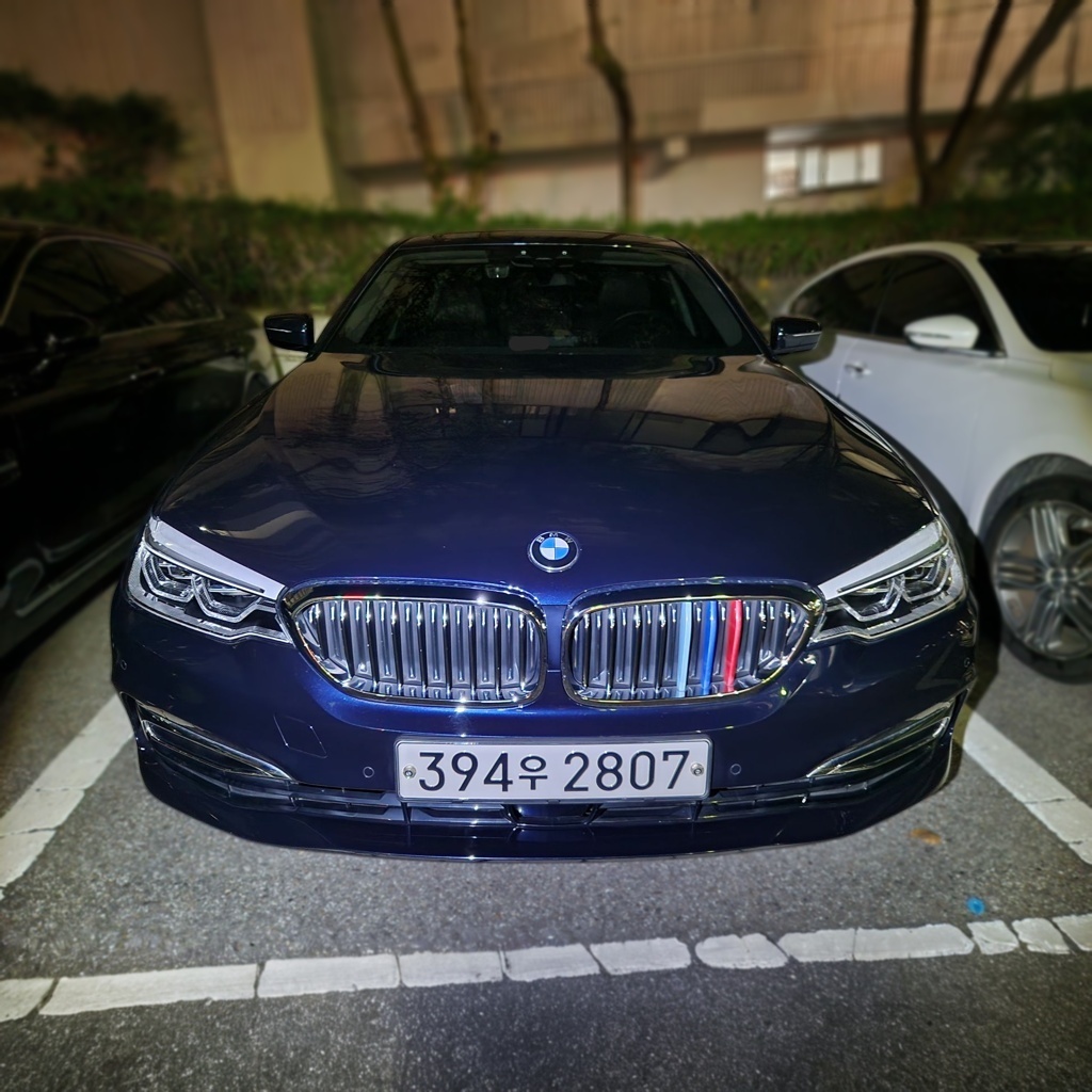 2020 BMW 5 SERIES (G30) 520i Luxury
